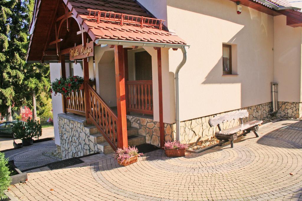 Willa Ostoja Świeradów-Zdrój Exteriör bild