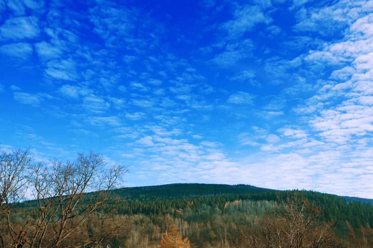 Willa Ostoja Świeradów-Zdrój Exteriör bild